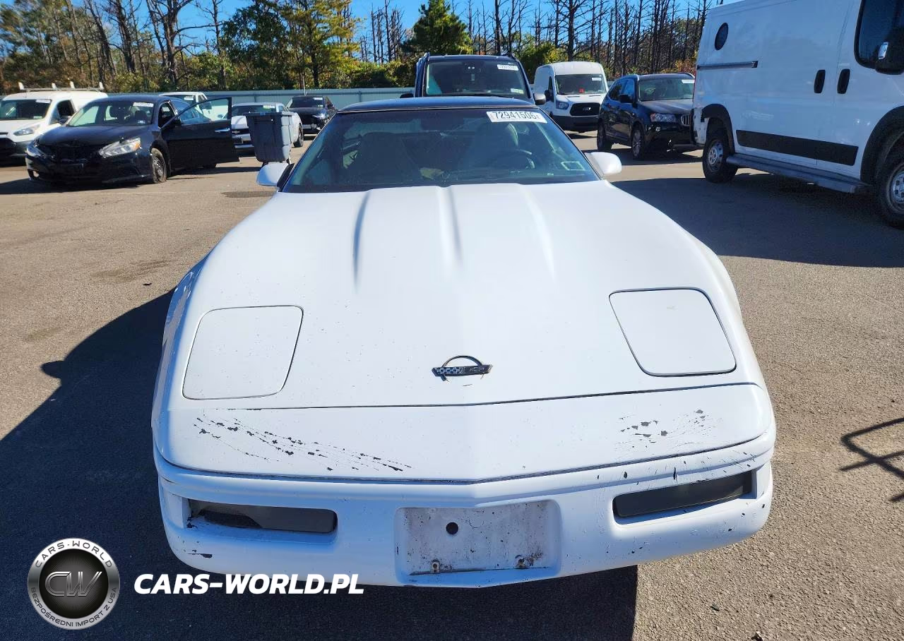 1996 Chevrolet Corvette VIN:1G1YY22P0T5101136 - 5