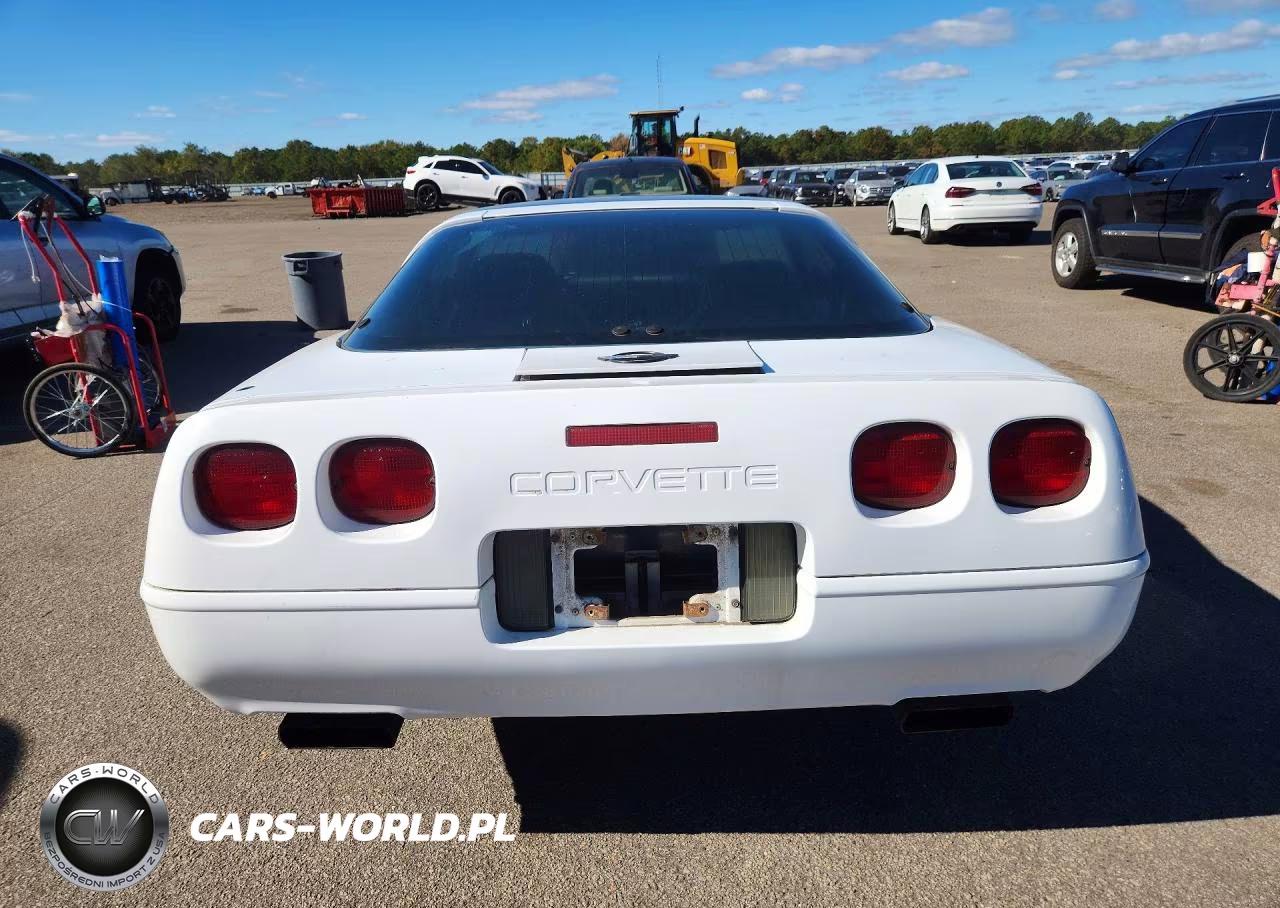 1996 Chevrolet Corvette VIN:1G1YY22P0T5101136 - 6