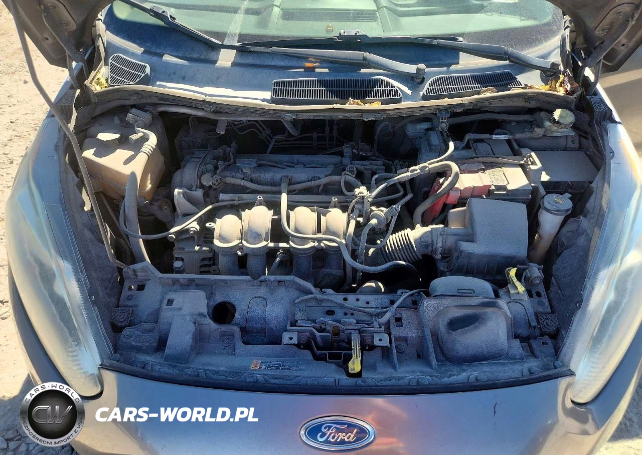 2014 Ford Fiesta Se VIN:3FADP4BJ1EM131247 - 11