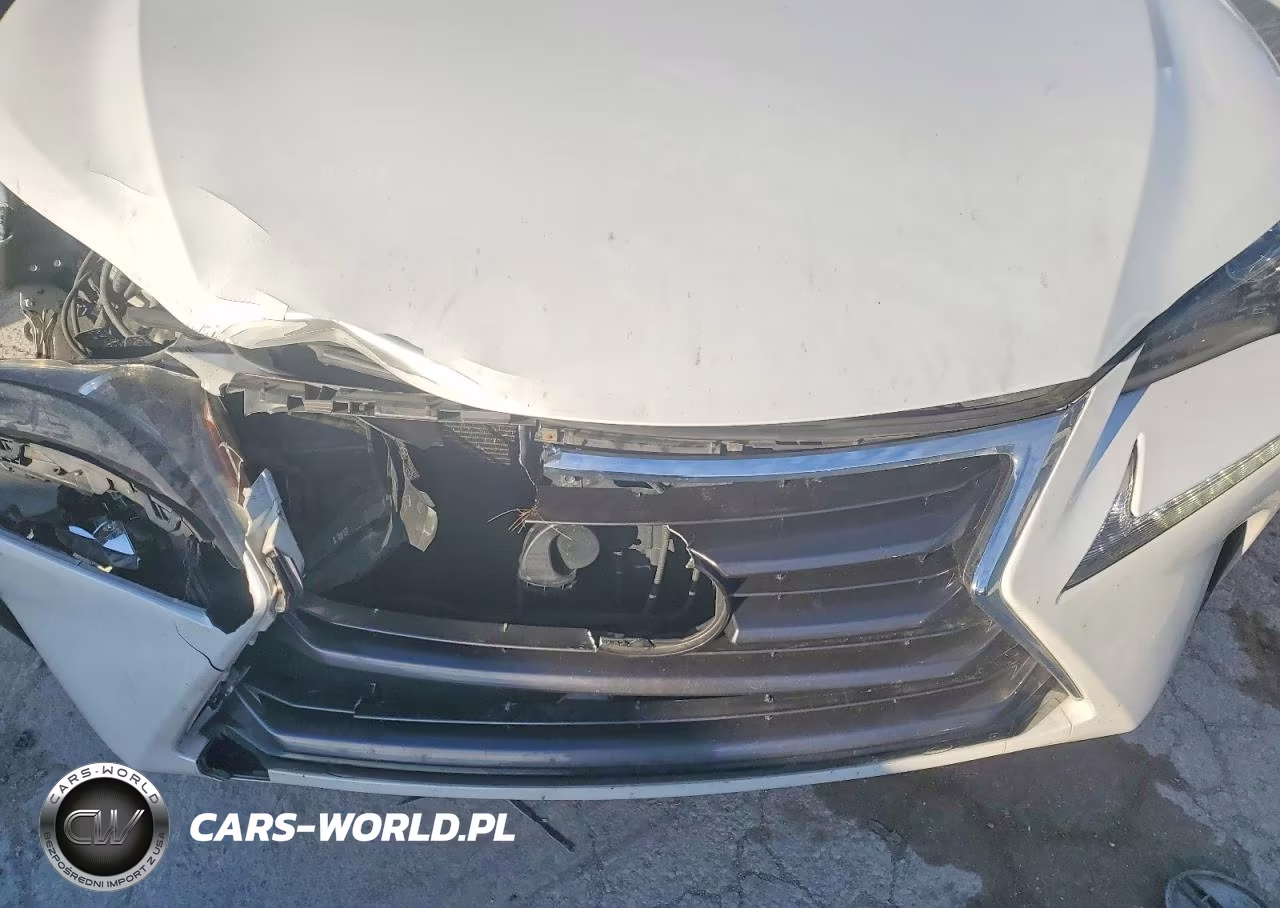 2015 Lexus Nx 200T VIN:JTJBARBZ0F2001570 - 12