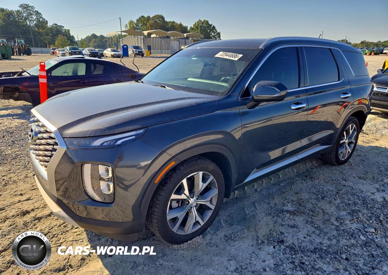 2020 Hyundai Palisade Sel VIN:KM8R34HE7LU165137 - 1
