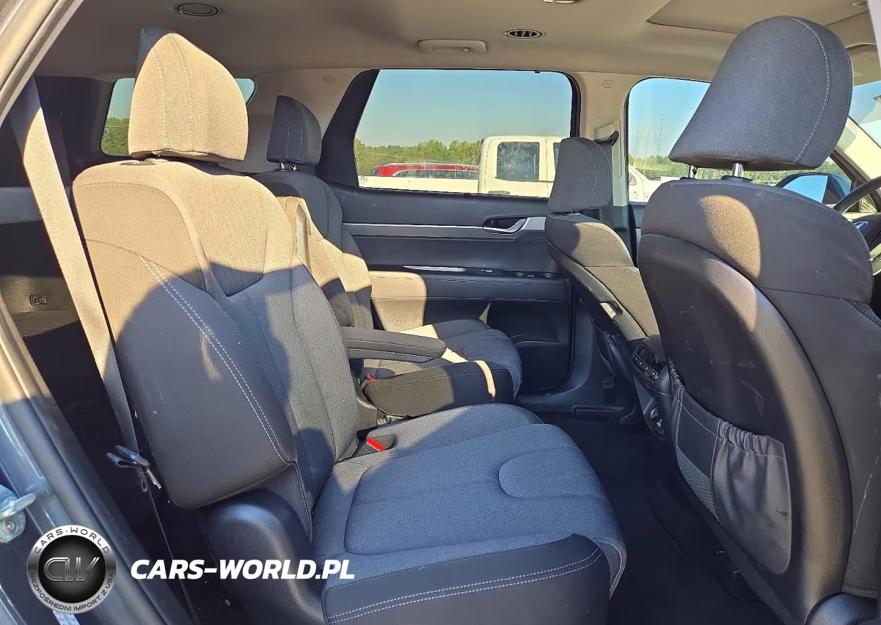 2020 Hyundai Palisade Sel VIN:KM8R34HE7LU165137 - 11