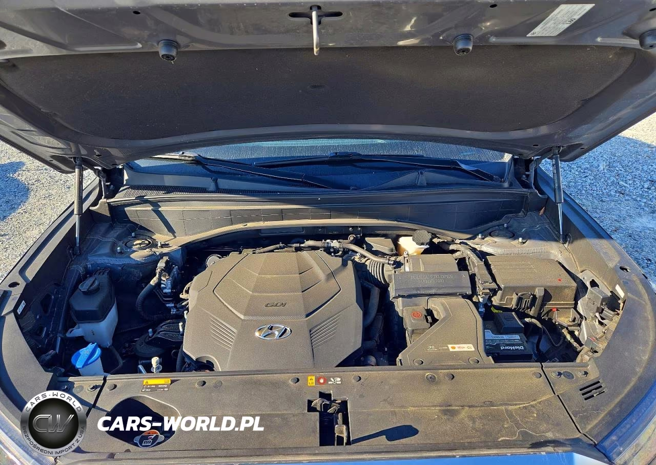 2020 Hyundai Palisade Sel VIN:KM8R34HE7LU165137 - 12