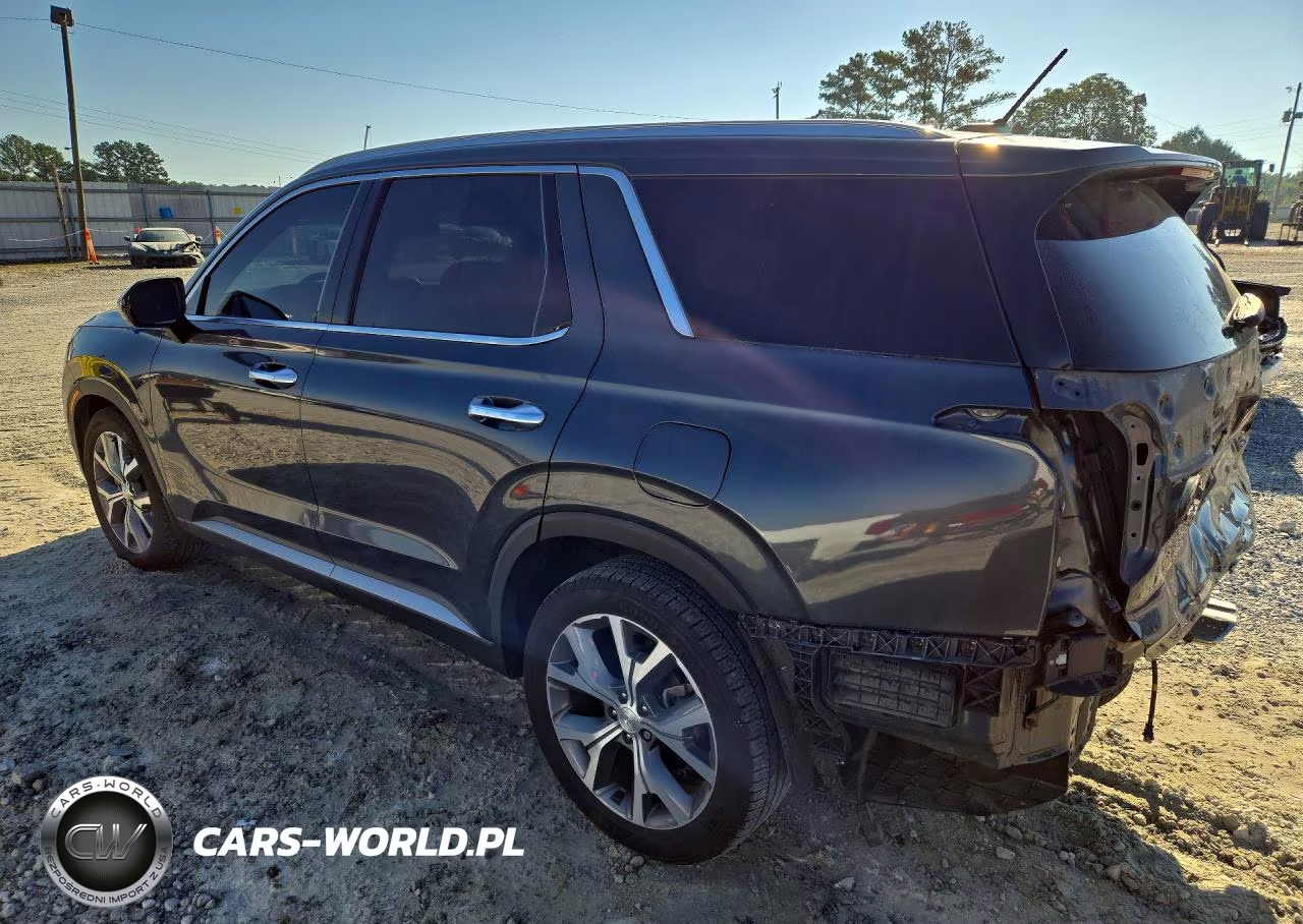 2020 Hyundai Palisade Sel VIN:KM8R34HE7LU165137 - 2