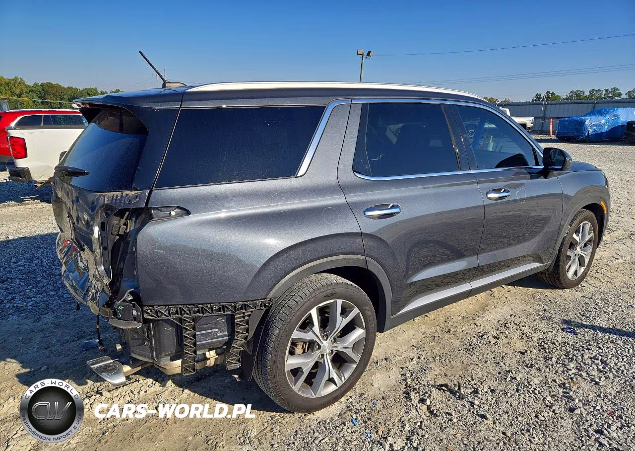 2020 Hyundai Palisade Sel VIN:KM8R34HE7LU165137 - 3