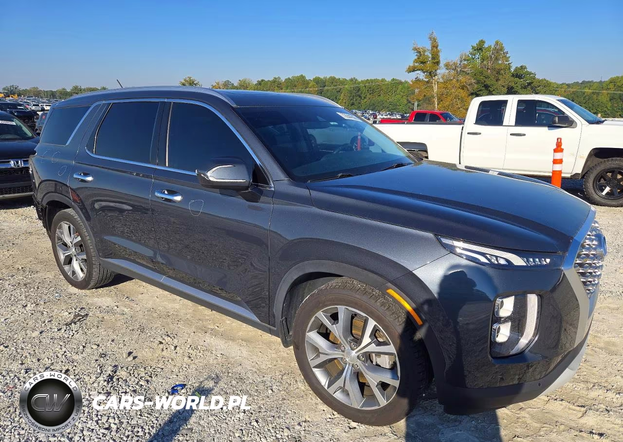 2020 Hyundai Palisade Sel VIN:KM8R34HE7LU165137 - 4