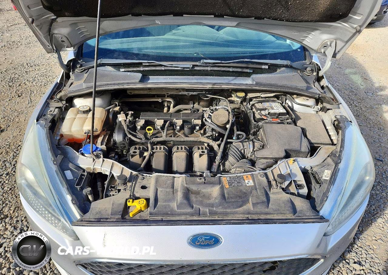 2015 Ford Focus Se VIN:1FADP3F20FL241786 - 11
