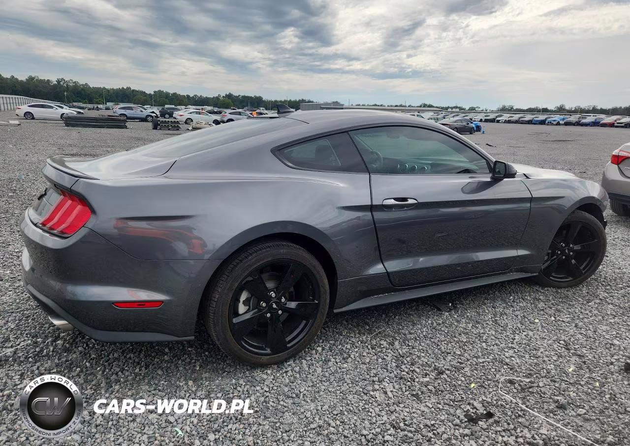 2022 Ford Mustang VIN:1FA6P8TH6N5110251 - 3