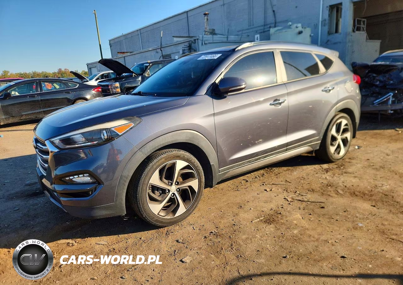 2016 Hyundai Tucson Limited VIN:KM8J3CA2XGU035821 - 1