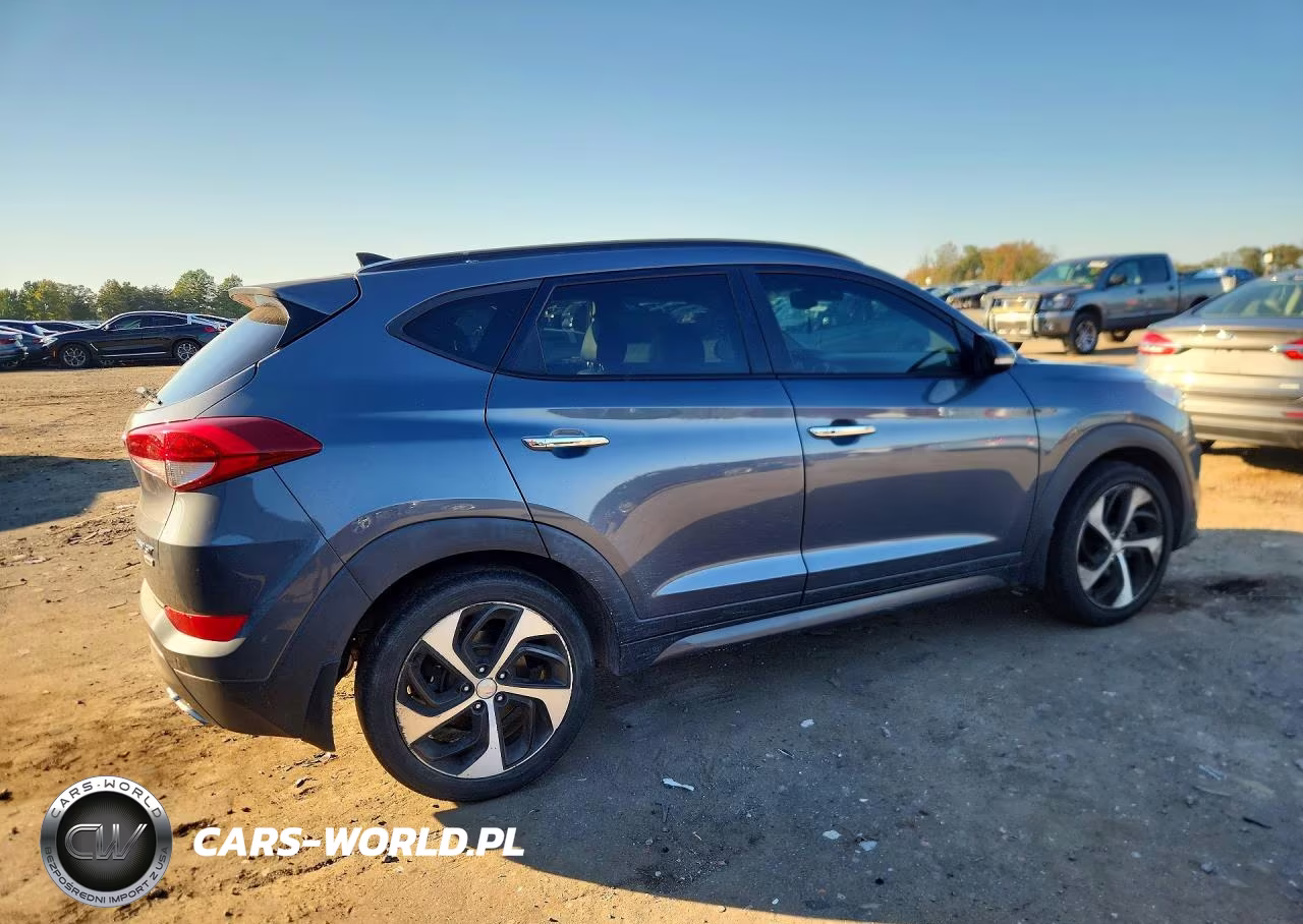 2016 Hyundai Tucson Limited VIN:KM8J3CA2XGU035821 - 3