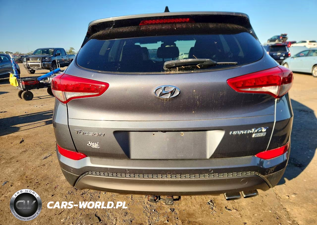 2016 Hyundai Tucson Limited VIN:KM8J3CA2XGU035821 - 6