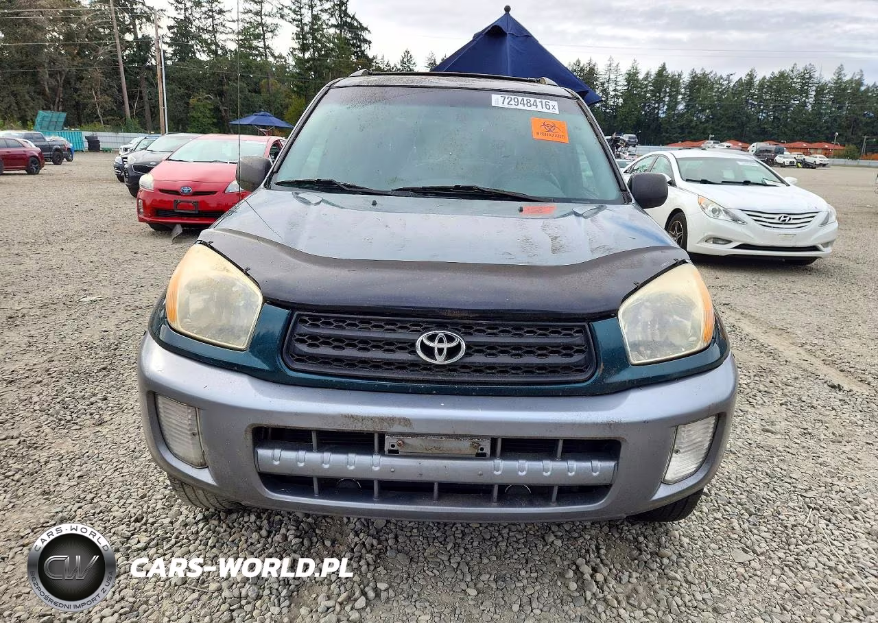 2002 Toyota Rav4 Base VIN:JTEHH20V420169892 - 5