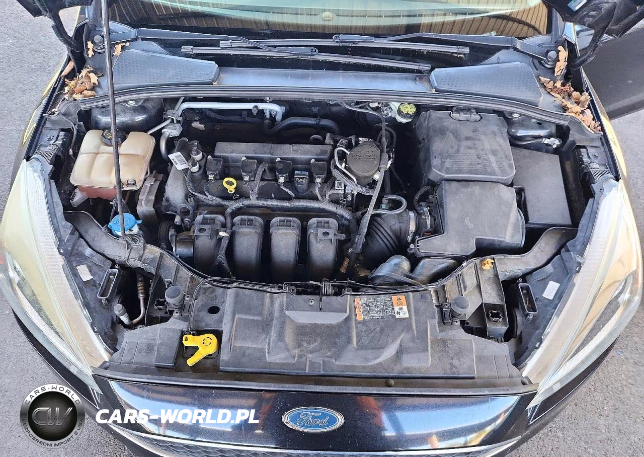 2015 Ford Focus Se VIN:1FADP3F22FL364117 - 11