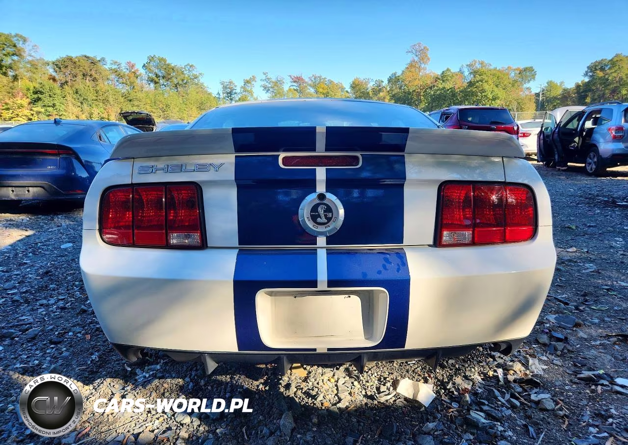 2007 Ford Mustang Shelby Gt500 VIN:1ZVHT88S475244839 - 6