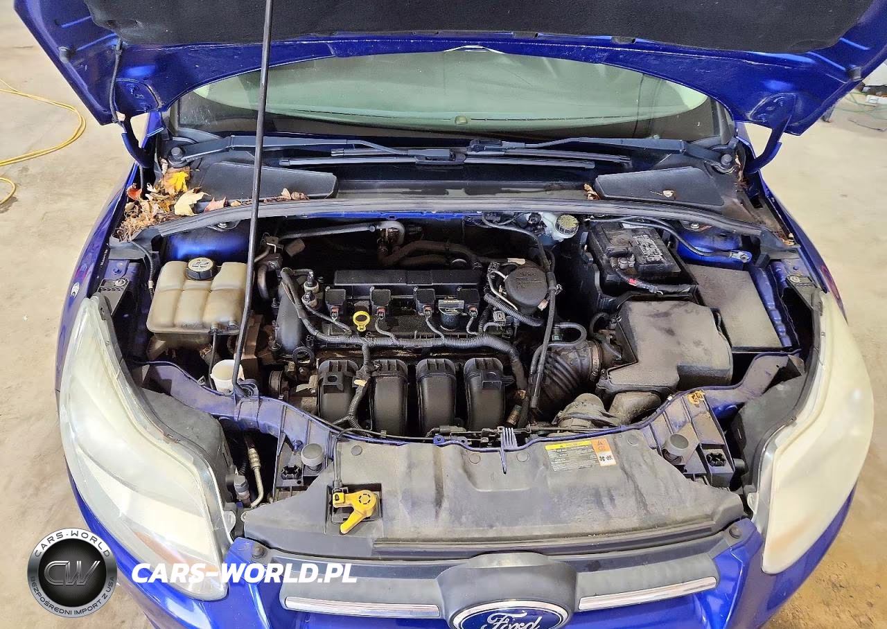 2013 Ford Focus Se VIN:1FADP3K21DL198451 - 11