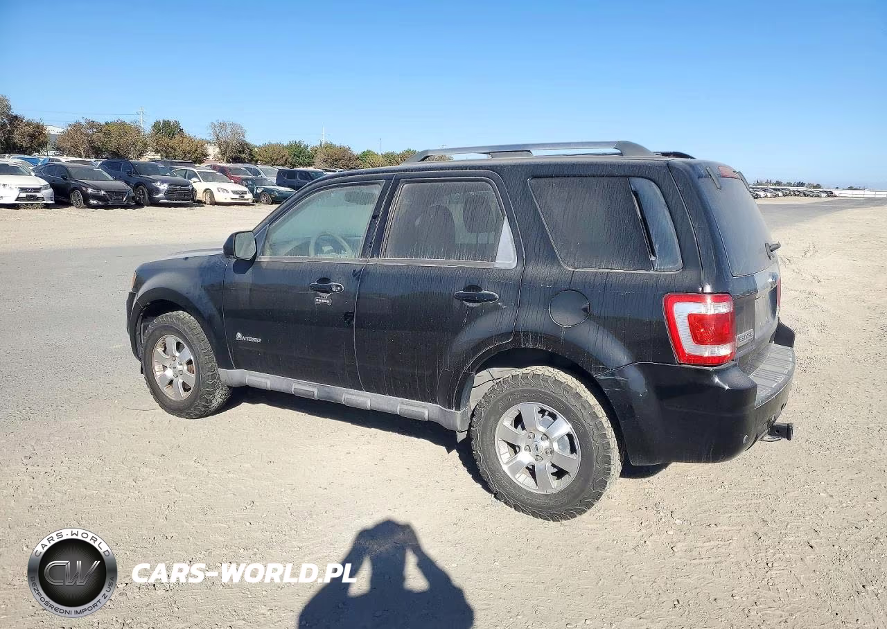2009 Ford Escape Hybrid VIN:1FMCU59349KA35617 - 2