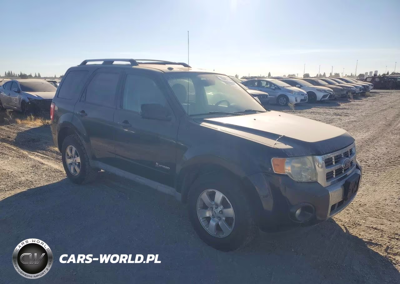 2009 Ford Escape Hybrid VIN:1FMCU59349KA35617 - 4