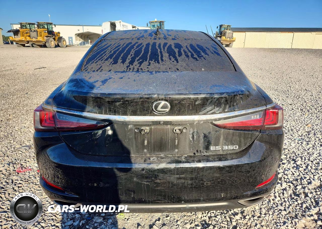 2019 Lexus Es 350 VIN:58ABZ1B18KU050607 - 6