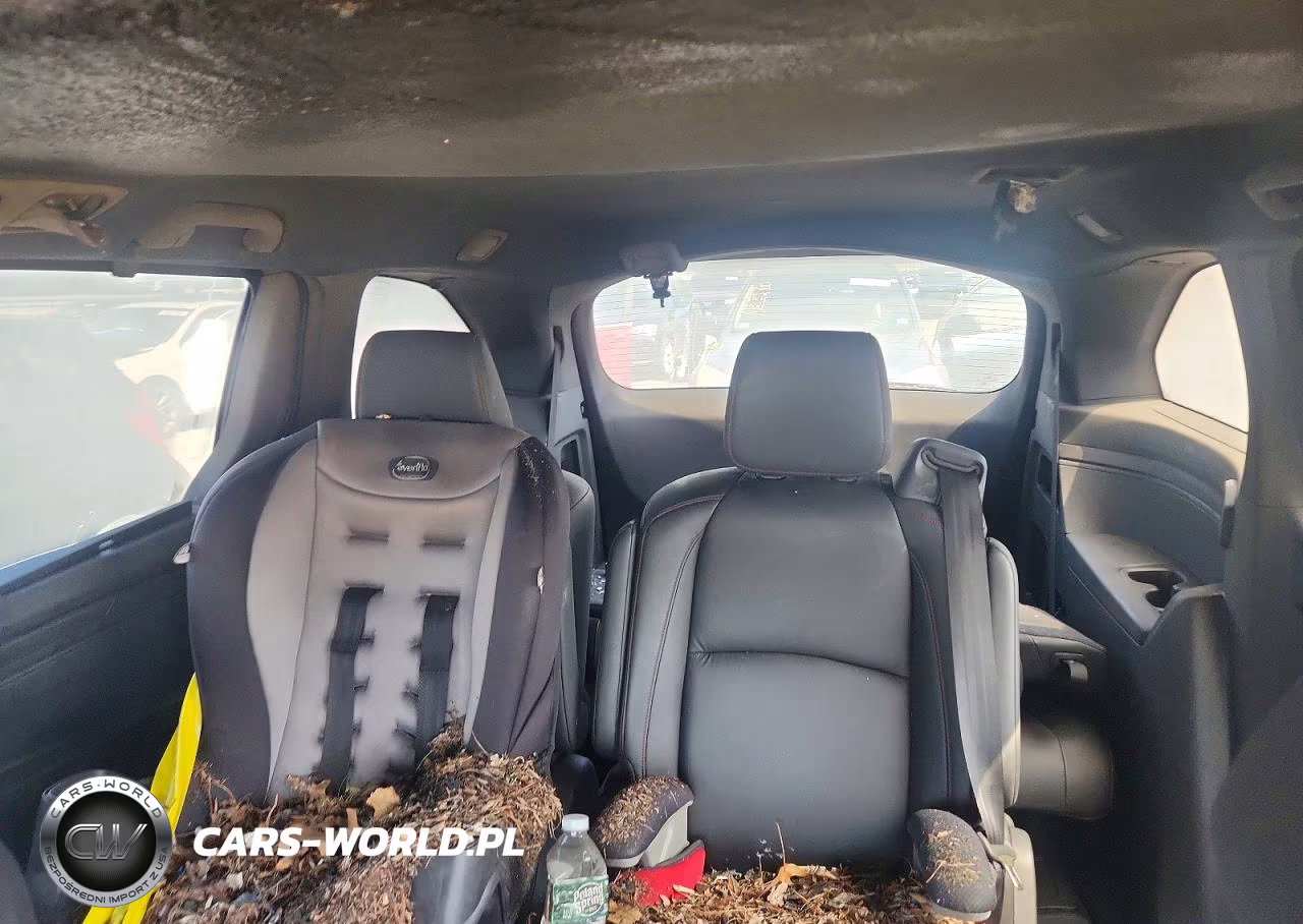 2024 Honda Odyssey Sport VIN:5FNRL6H73RB004559 - 10