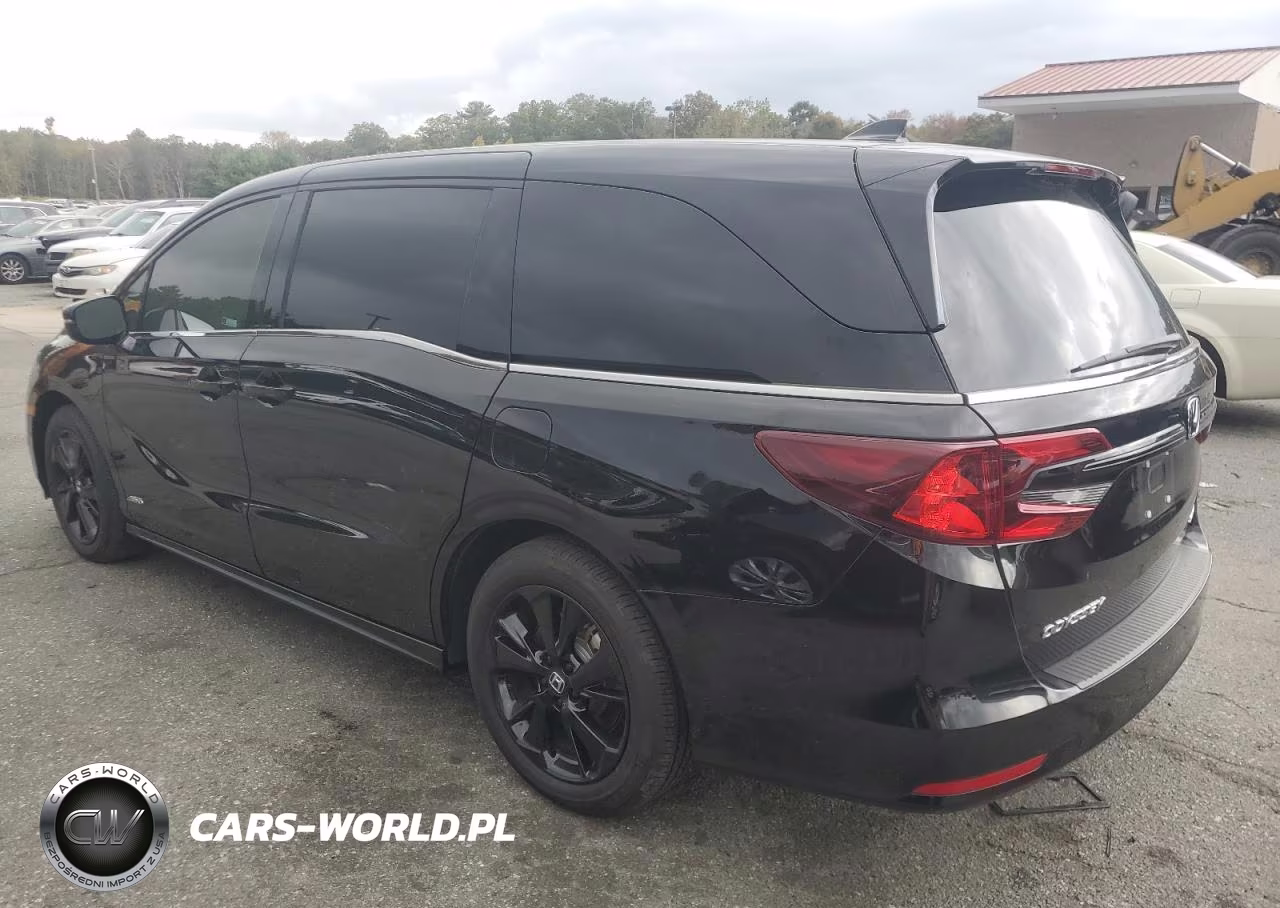 2024 Honda Odyssey Sport VIN:5FNRL6H73RB004559 - 2