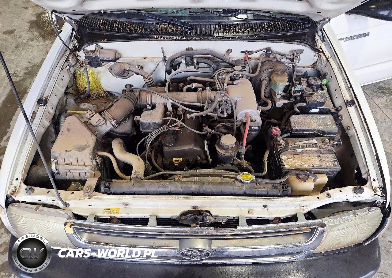 2000 Toyota Tacoma Base VIN:4TANL42N6YZ625633 - 11
