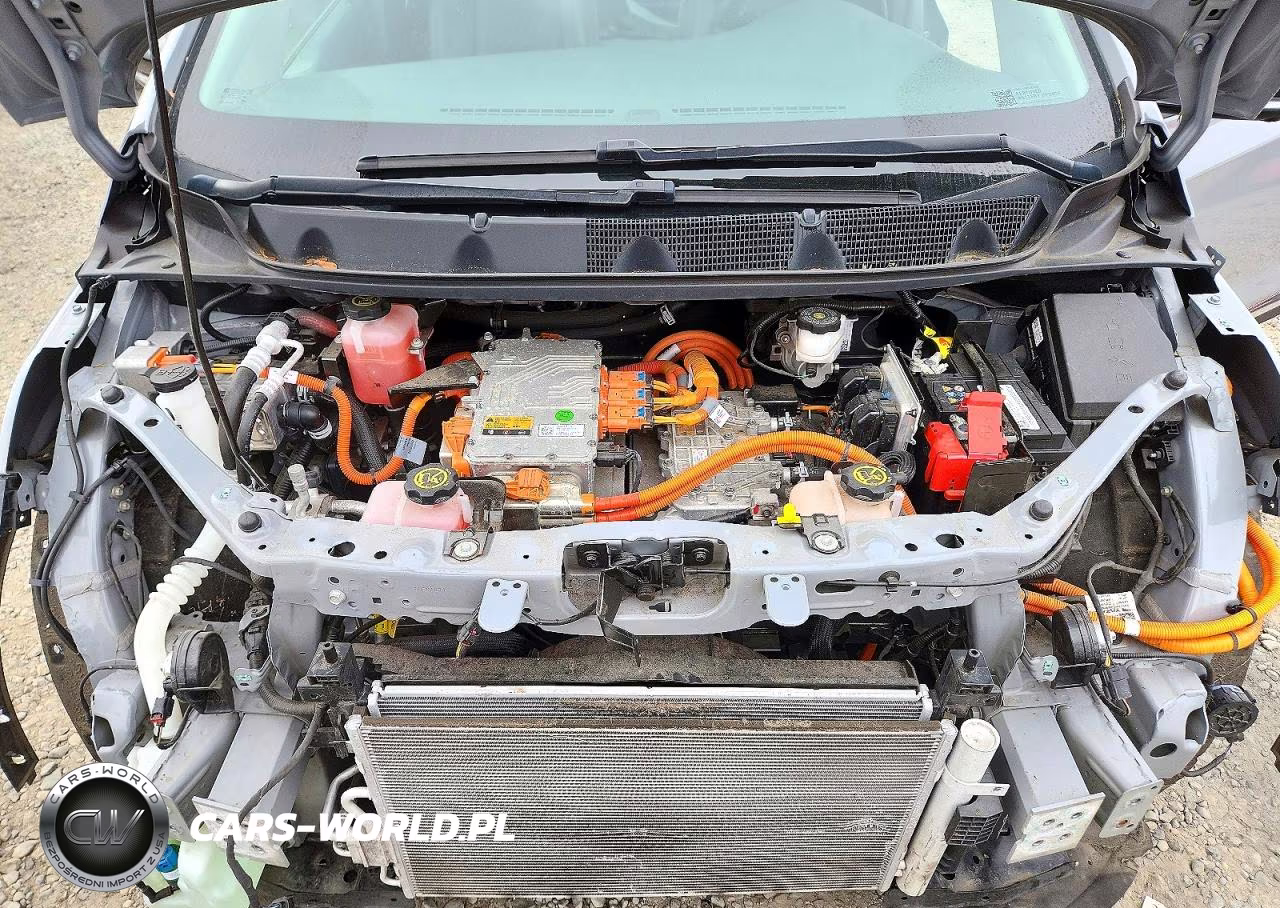 2019 Chevrolet Bolt Ev Premier VIN:1G1FZ6S06K4143006 - 12