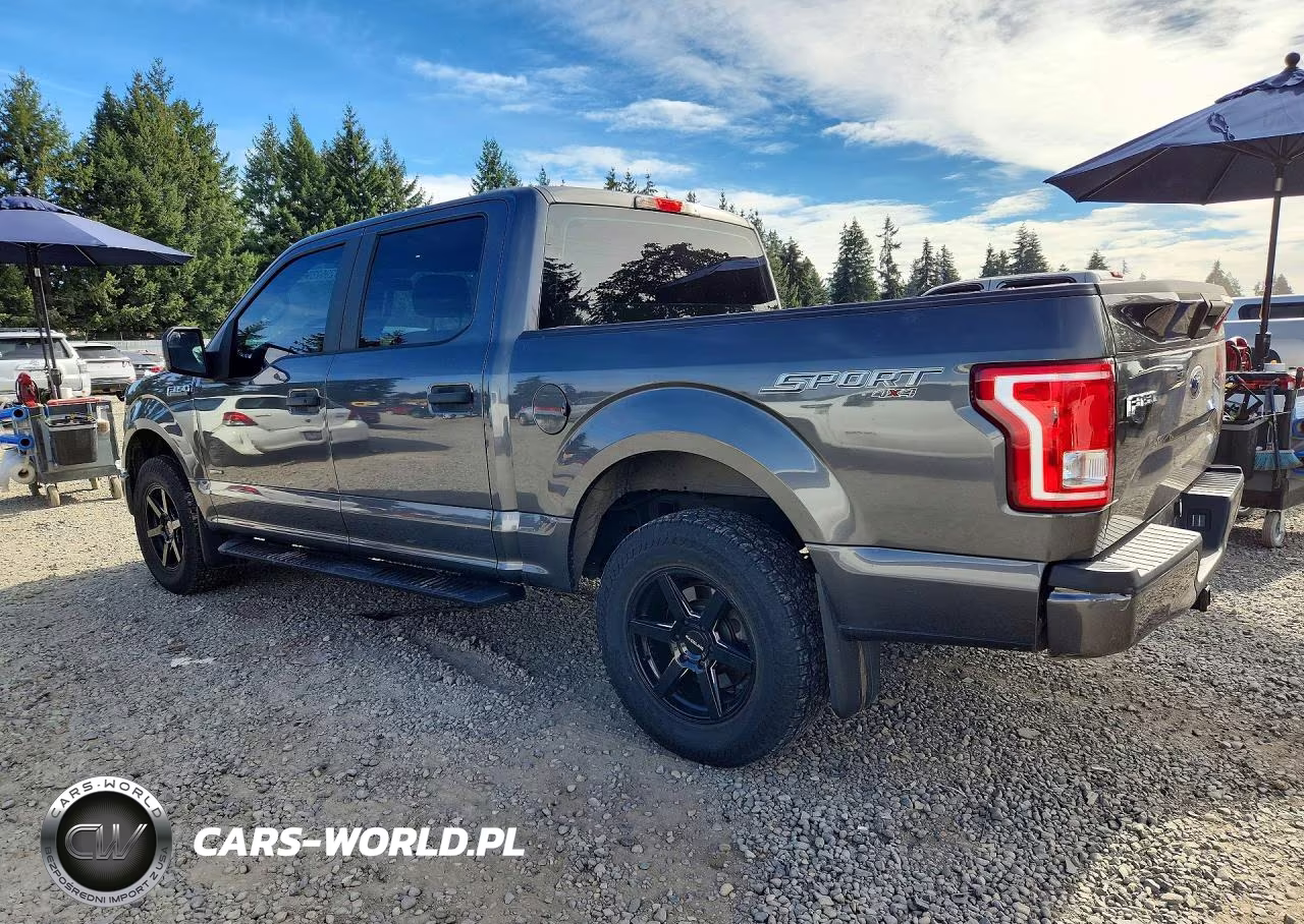 2015 Ford F150 Supercrew VIN:1FTEW1EPXFKD60714 - 2