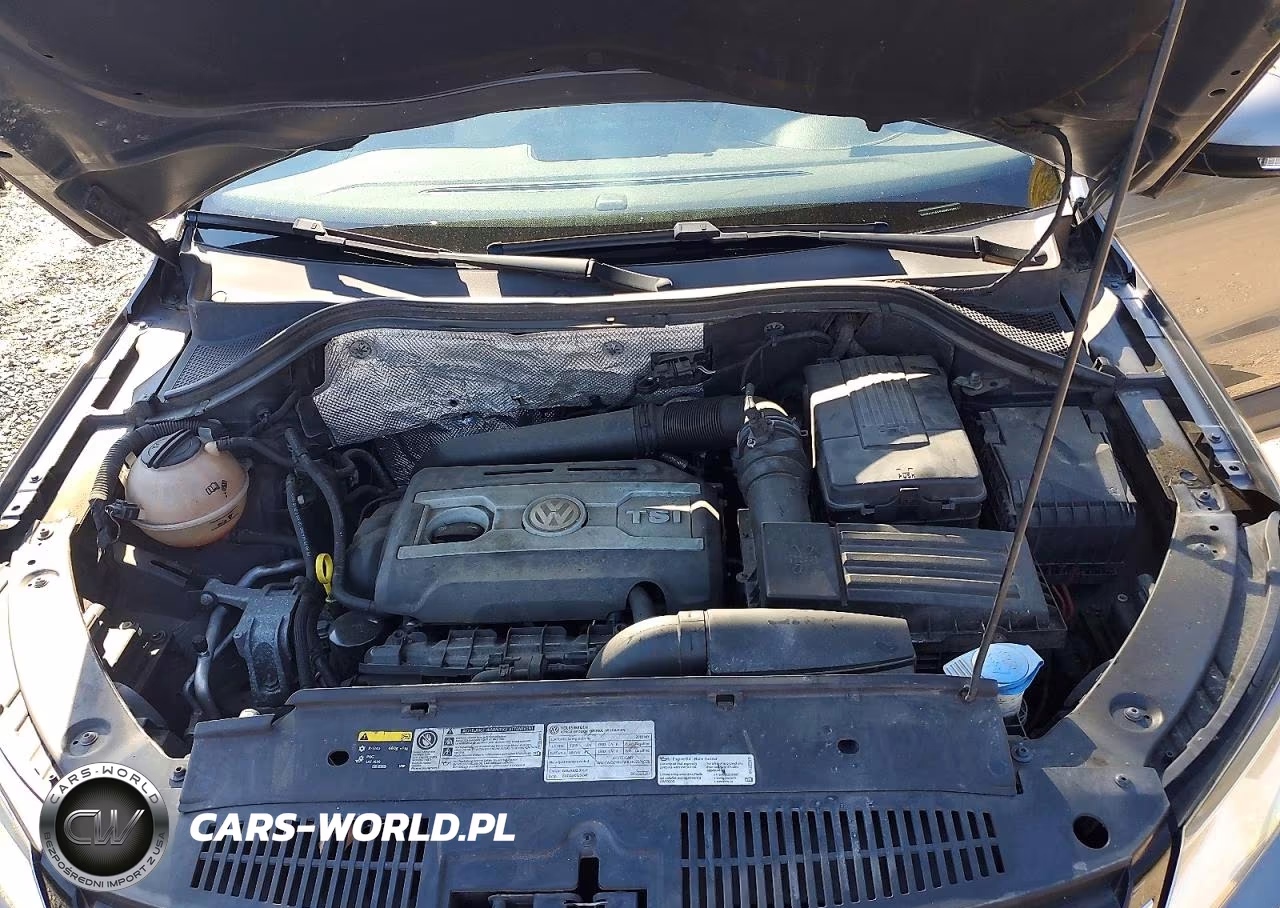 2016 Volkswagen Tiguan S VIN:WVGAV7AX9GW030031 - 11