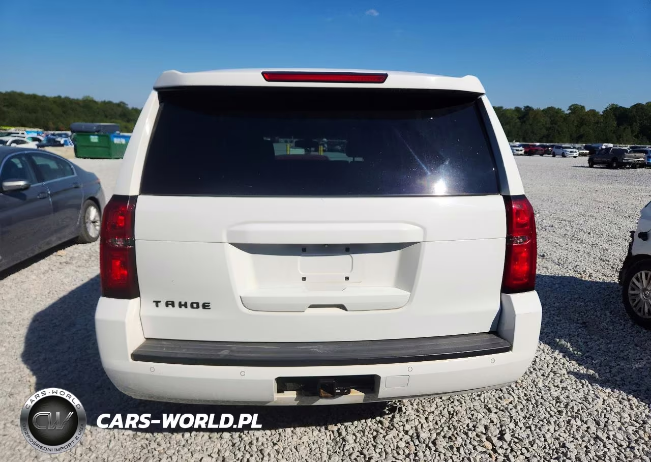 CHEVROLET TAHOE VIN:1GNSKDEC4JR260905 - 6