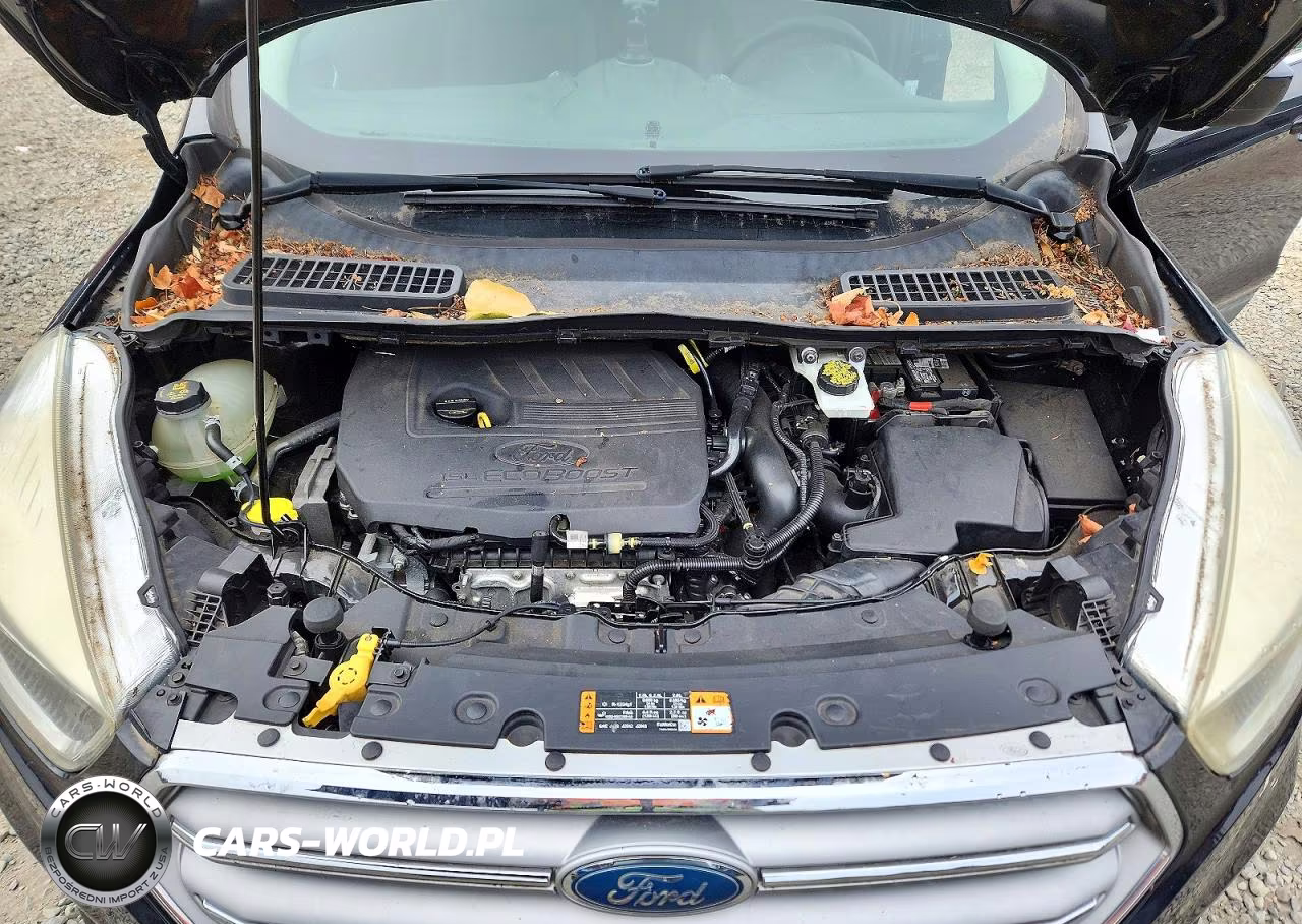 2017 Ford Escape Se VIN:1FMCU0GD5HUE24011 - 12