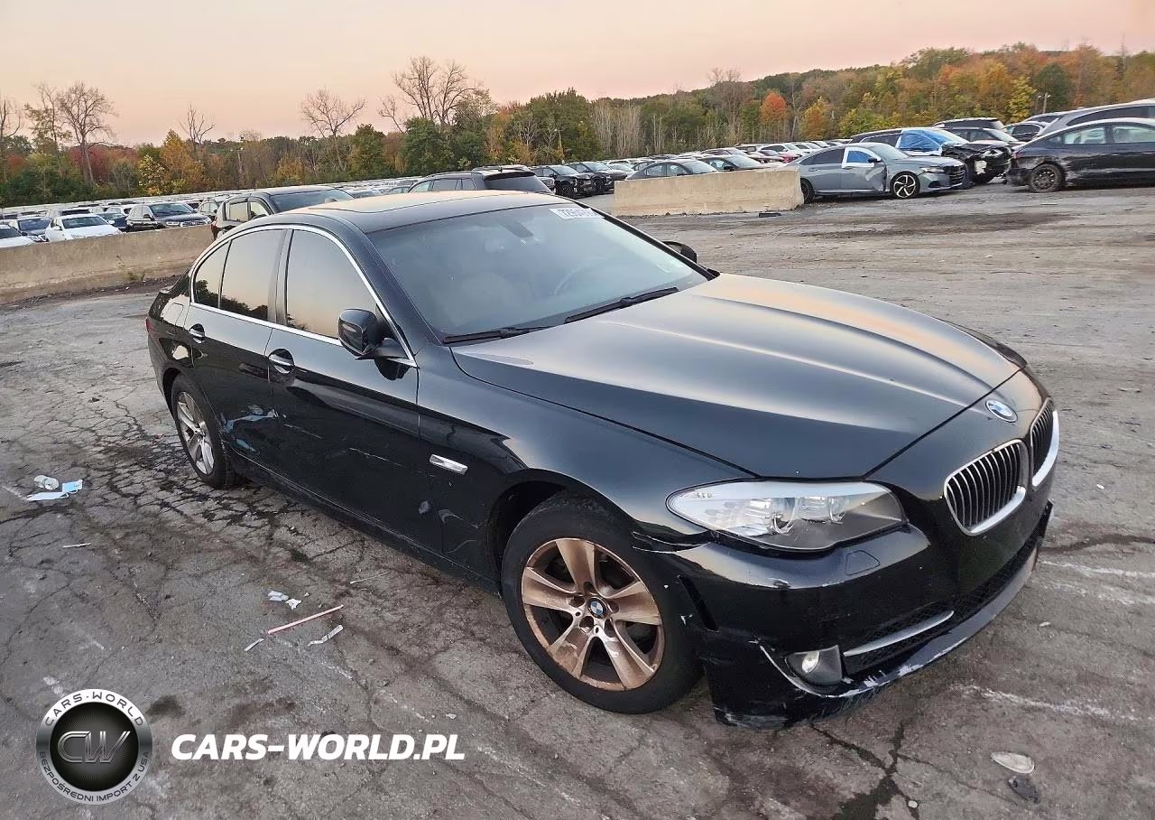 2013 BMW 528 Xi VIN:WBAXH5C57DD115542 - 4