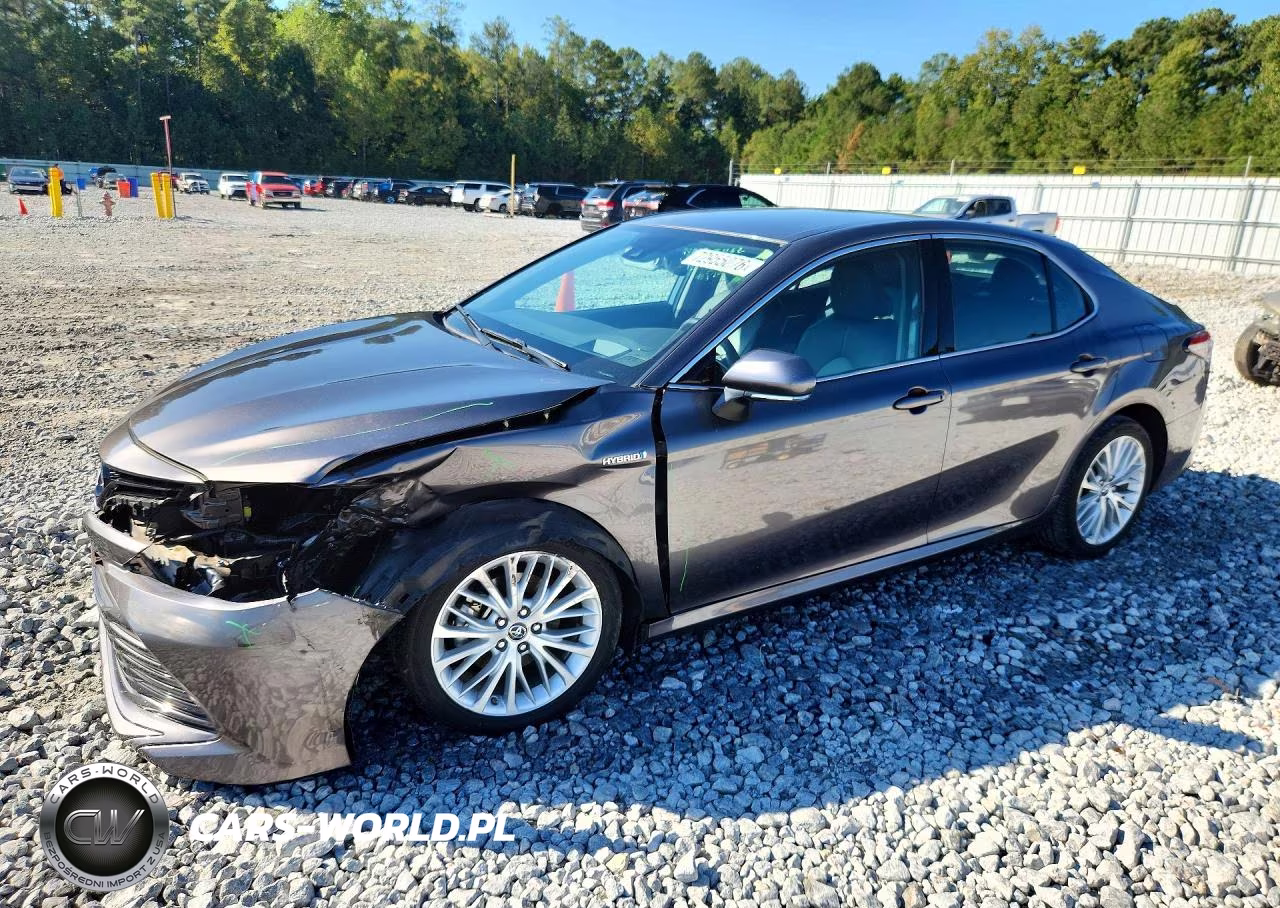 2019 Toyota Camry Hybrid Xle VIN:4T1B21HK6KU519169 - 1