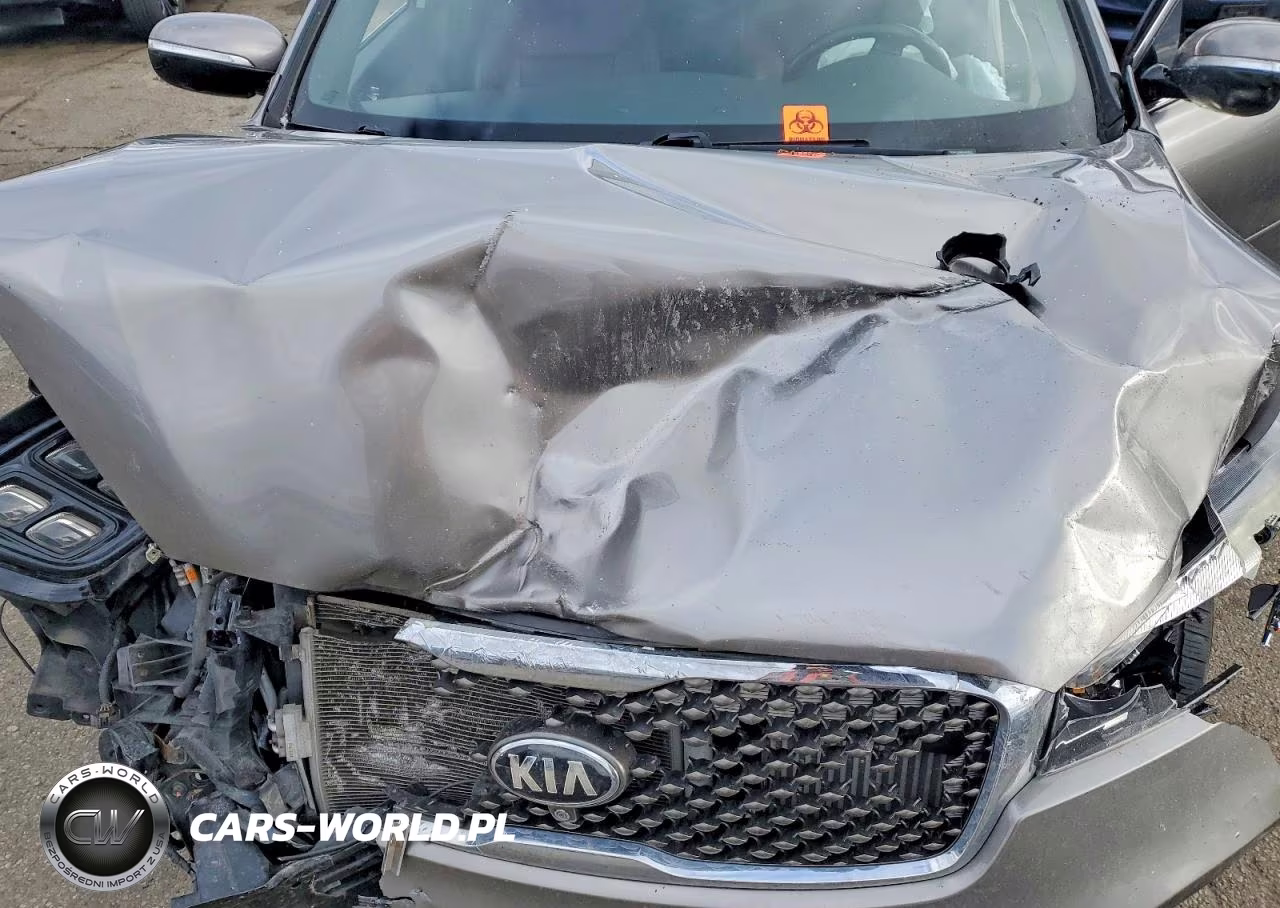 2016 Kia Sorento Sx VIN:5XYPKDA16GG044855 - 12