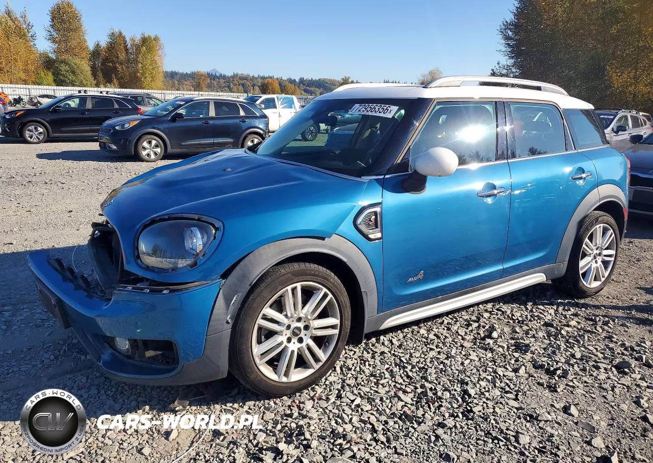 2019 Mini Cooper S Countryman All4 VIN:WMZYT5C50K3E63033 - 1