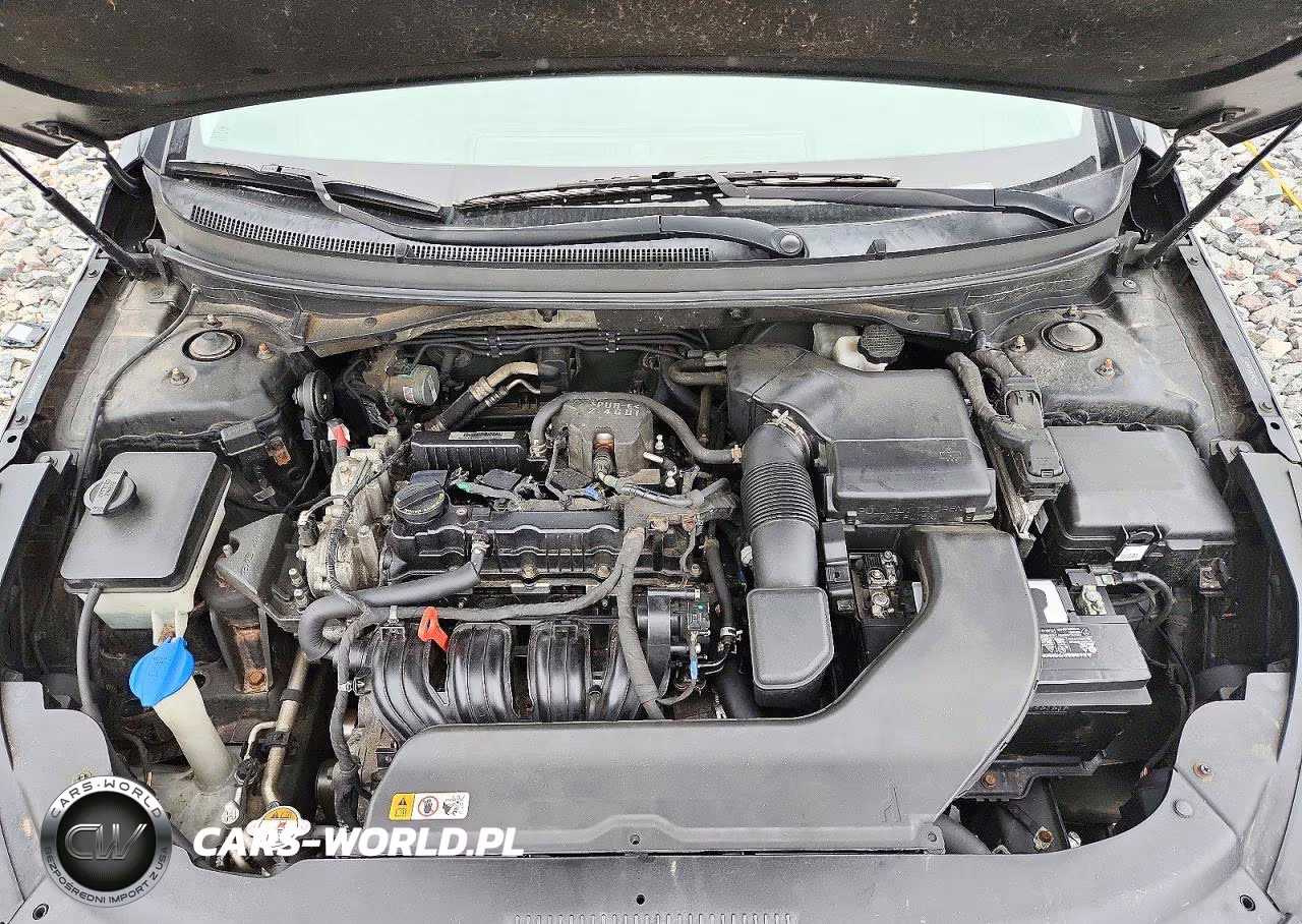 2016 Hyundai Sonata Se VIN:5NPE24AF1GH395409 - 11