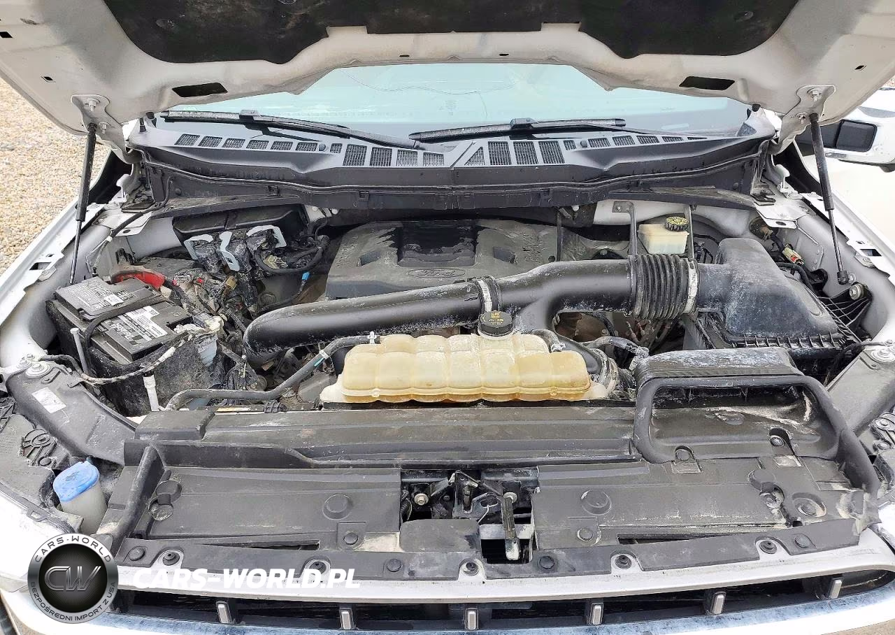 2021 Ford F150 Supercrew VIN:1FTFW1E82MFA50754 - 11