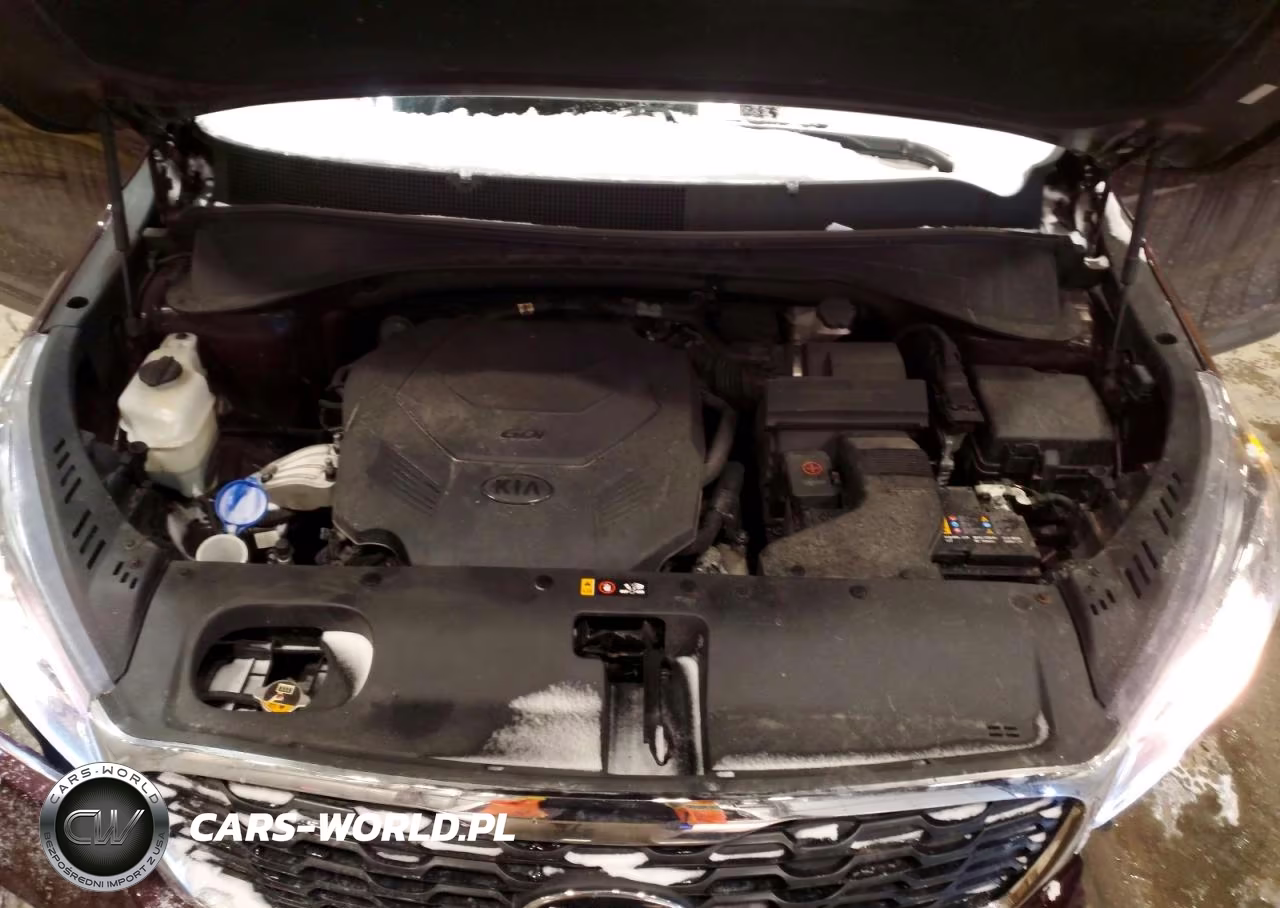 2019 Kia Sorento Lx VIN:5XYPGDA51KG446182 - 11