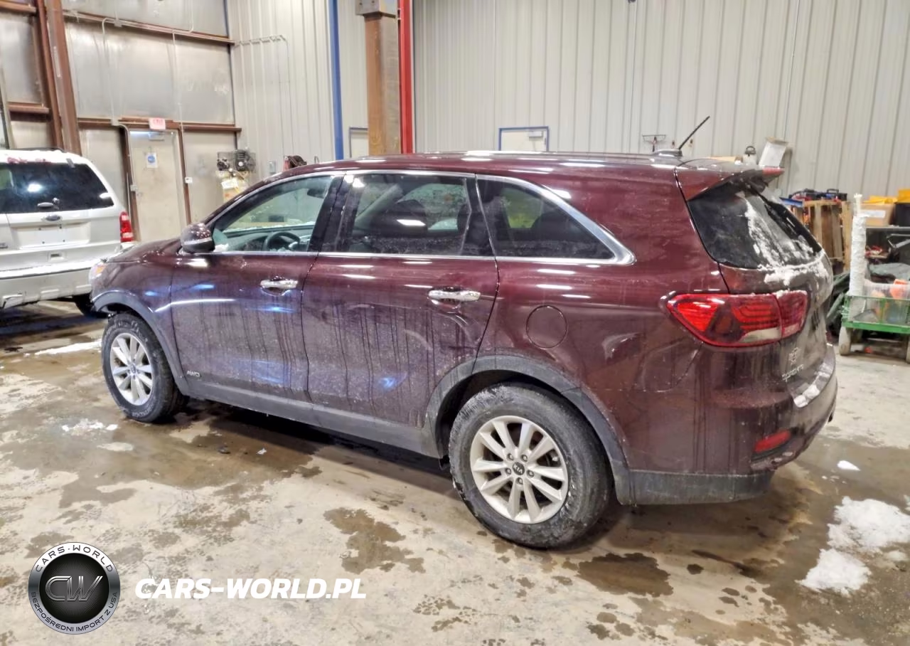 2019 Kia Sorento Lx VIN:5XYPGDA51KG446182 - 2