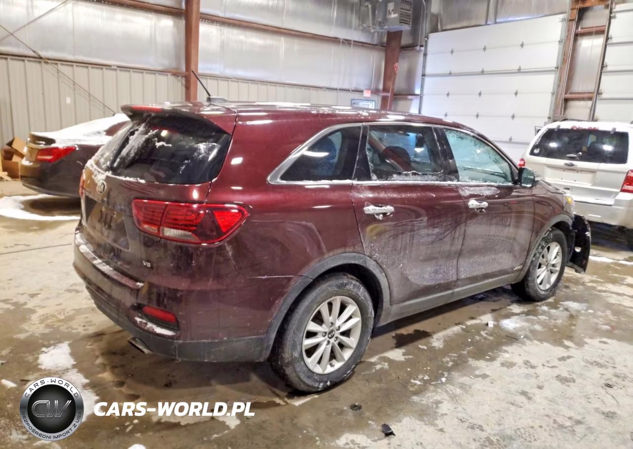 2019 Kia Sorento Lx VIN:5XYPGDA51KG446182 - 3