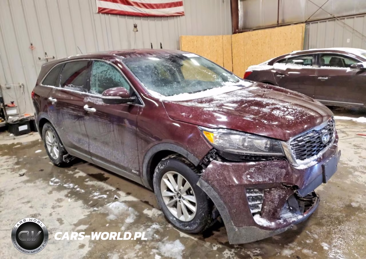 2019 Kia Sorento Lx VIN:5XYPGDA51KG446182 - 4