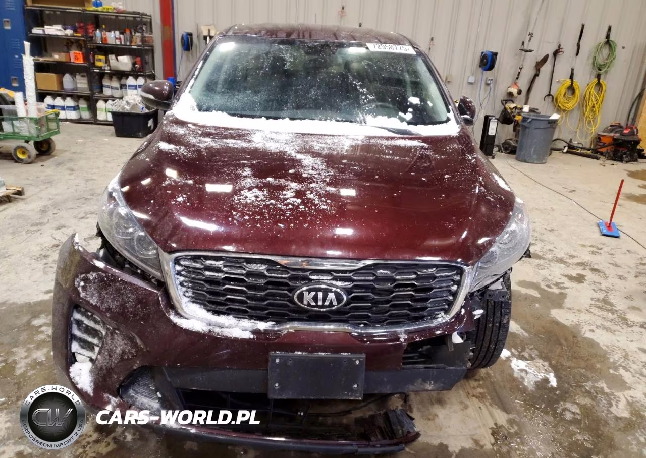 2019 Kia Sorento Lx VIN:5XYPGDA51KG446182 - 5