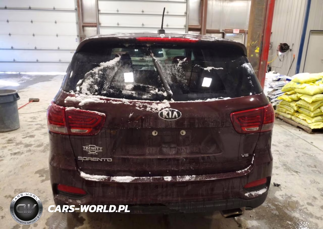 2019 Kia Sorento Lx VIN:5XYPGDA51KG446182 - 6