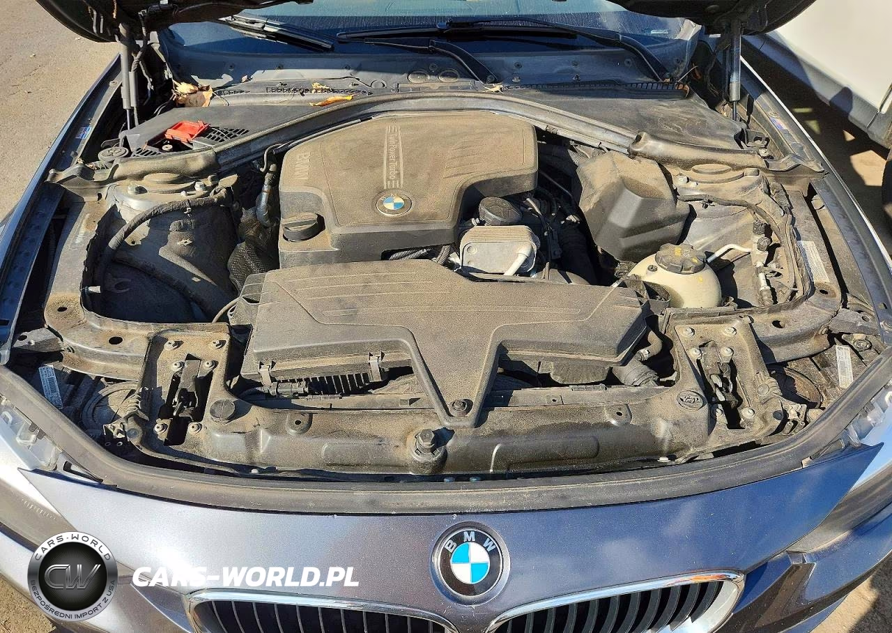 2015 BMW 328 Xi Sulev VIN:WBA3B5G53FNS15130 - 11
