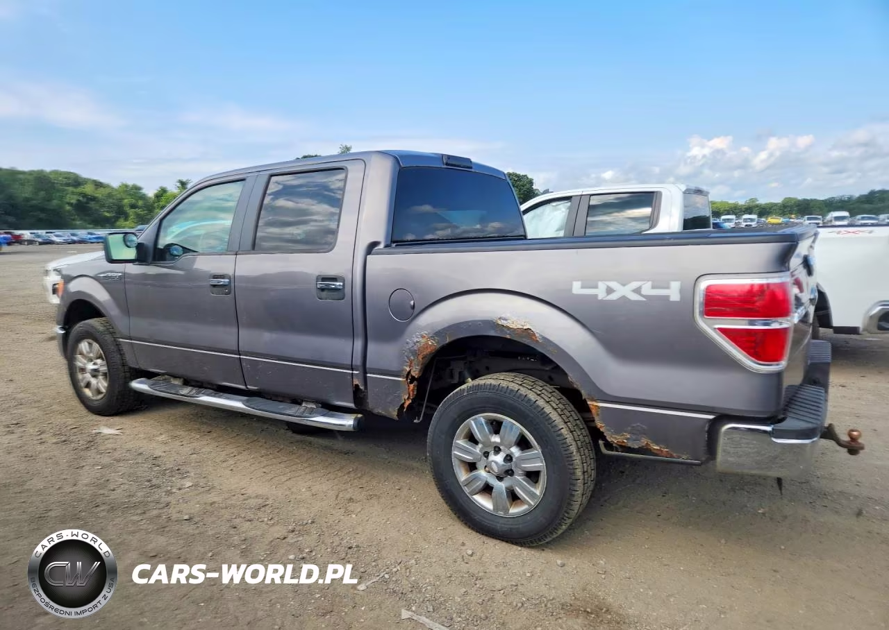 2009 Ford F150 Supercrew VIN:1FTRW14849FA06227 - 2