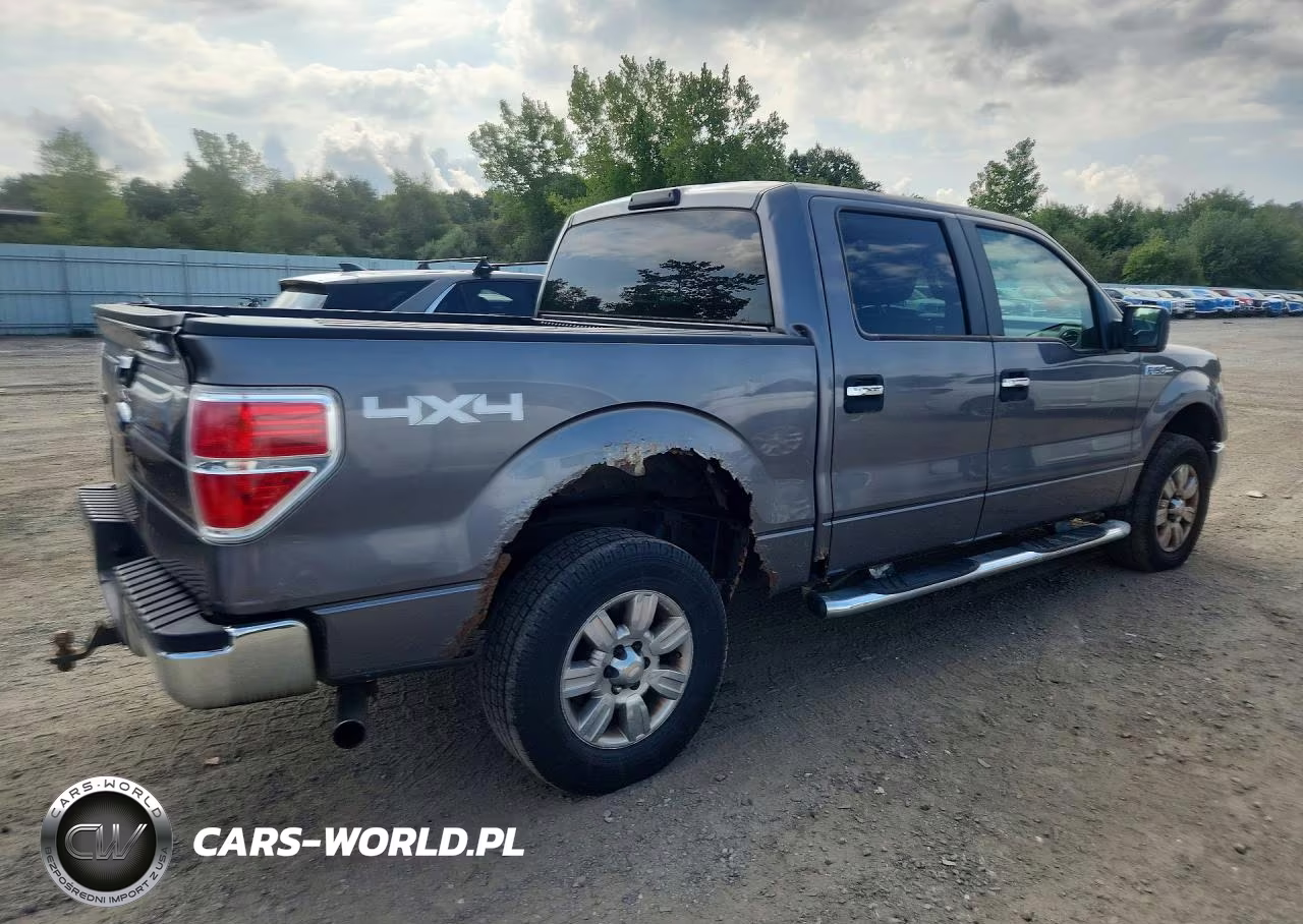 2009 Ford F150 Supercrew VIN:1FTRW14849FA06227 - 3