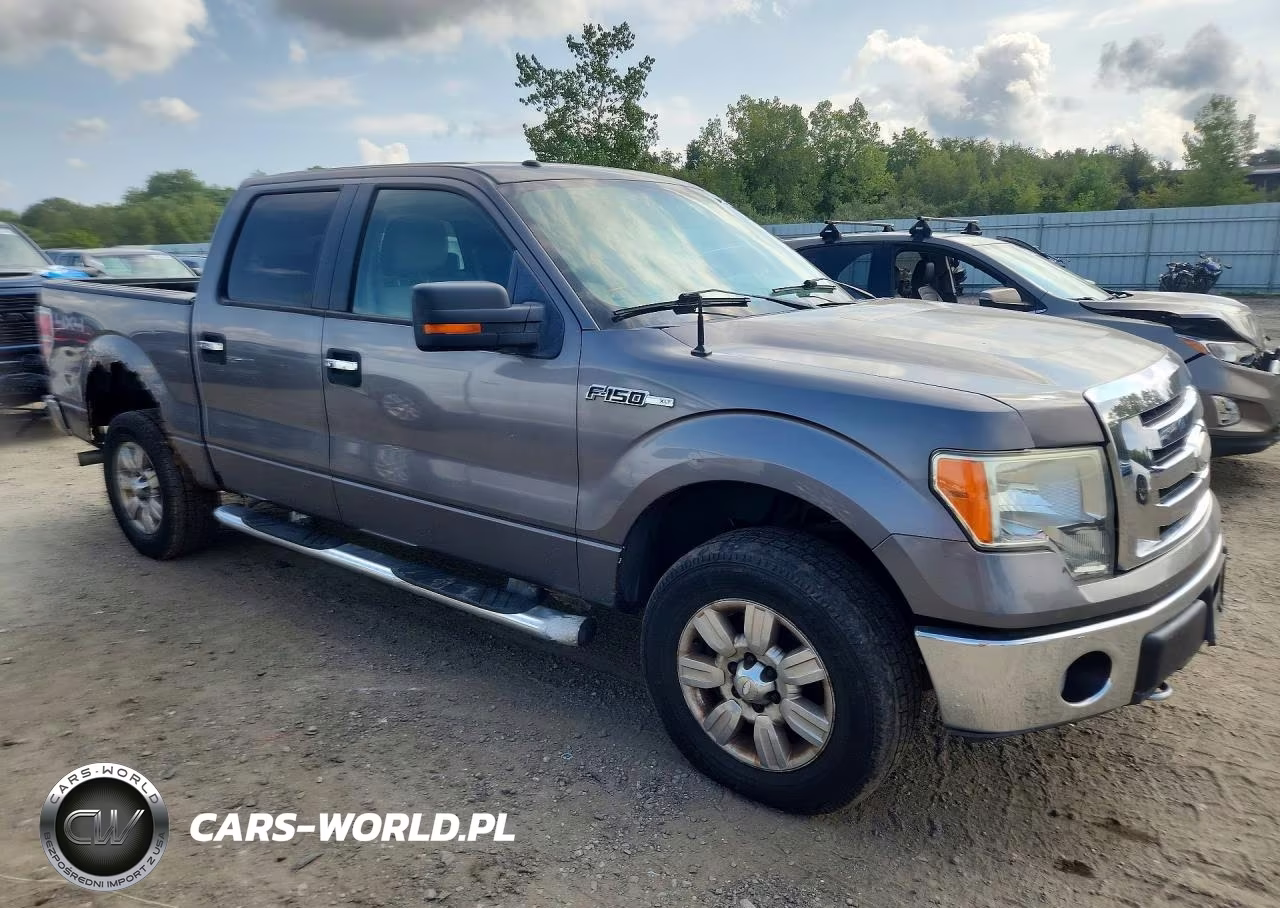 2009 Ford F150 Supercrew VIN:1FTRW14849FA06227 - 4