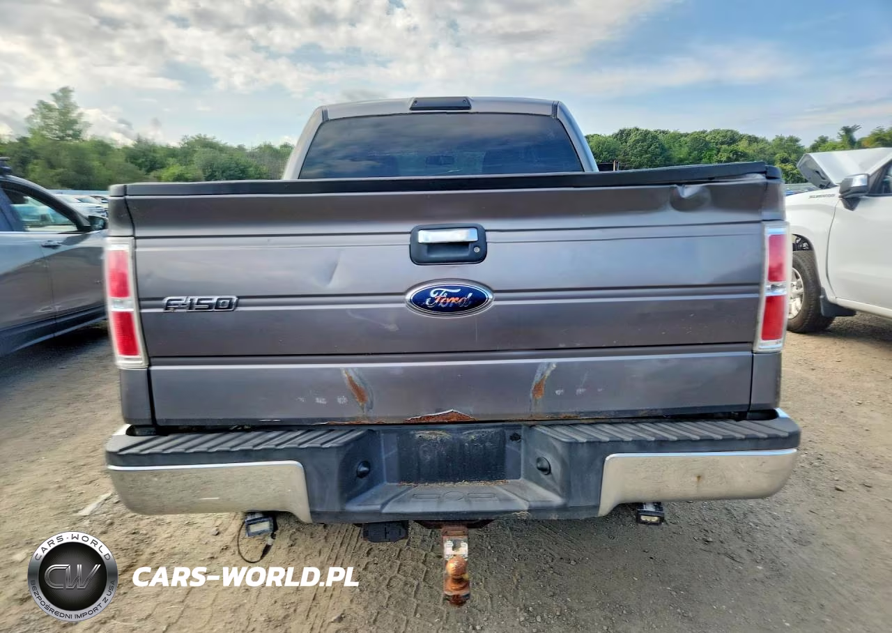 2009 Ford F150 Supercrew VIN:1FTRW14849FA06227 - 6