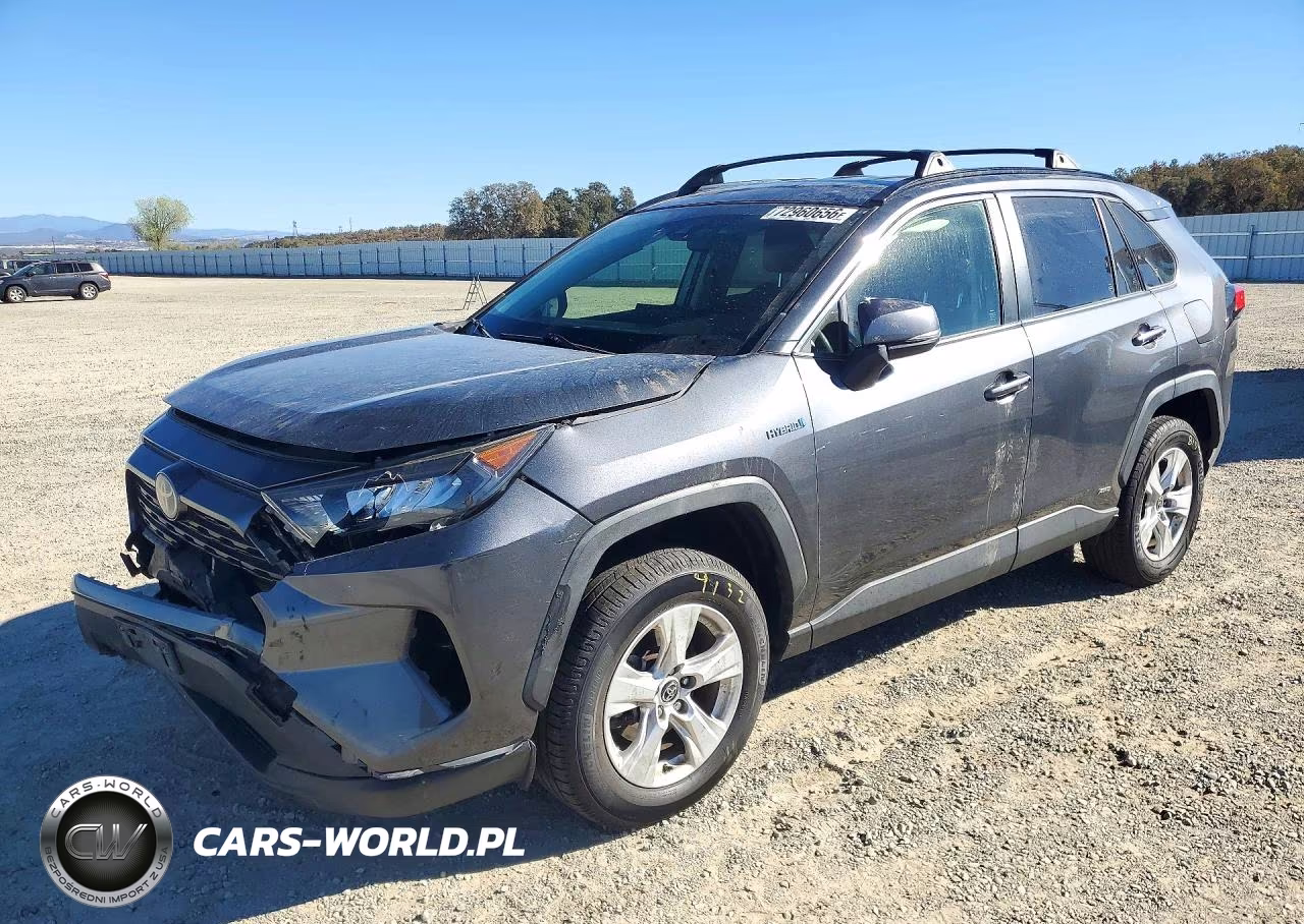 2019 Toyota Rav4 Le