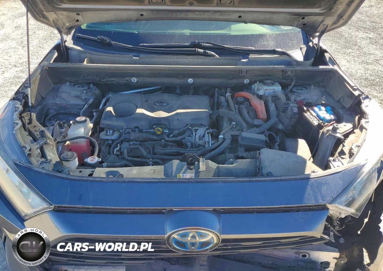 2019 Toyota Rav4 Le VIN:JTMMWRFV4KD013076 - 12