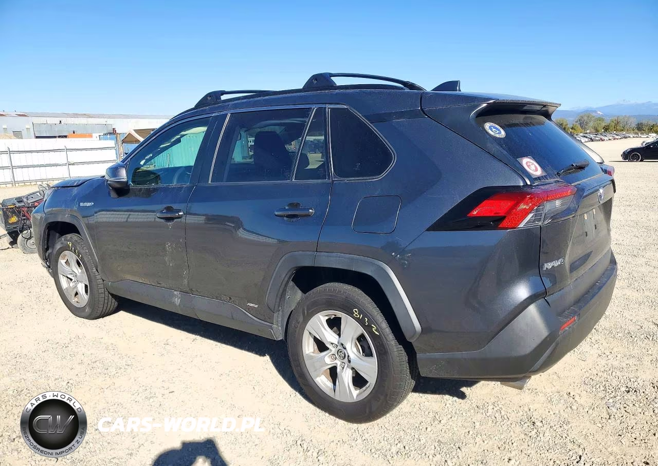 2019 Toyota Rav4 Le VIN:JTMMWRFV4KD013076 - 2